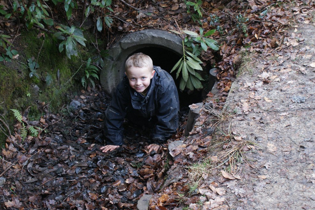 Down in the mud   05